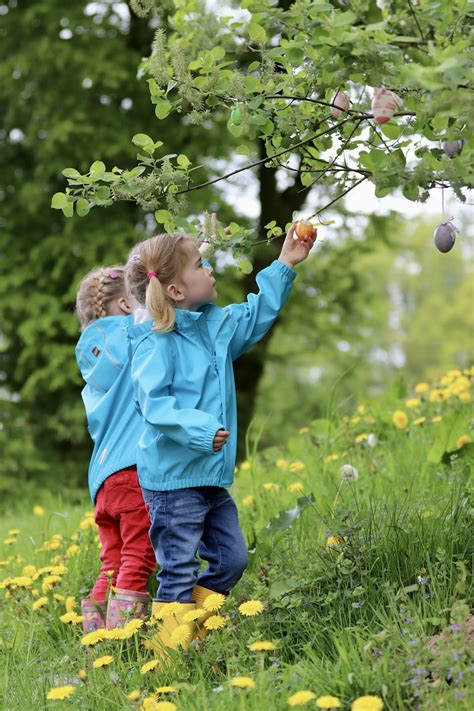 Enfants cueillant des fruits dans un champ