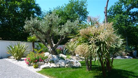 Aménagement paysager avec chèvrefeuille et plantes méditerranéennes