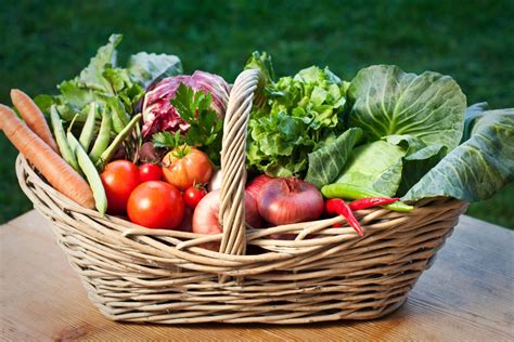 Photographie de paniers de légumes biologiques prêts à être distribués