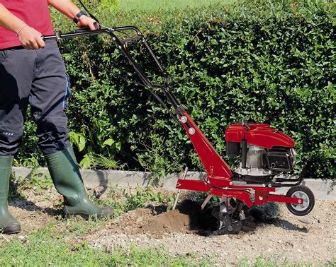 Comparatif des types de fraises pour motobineuses