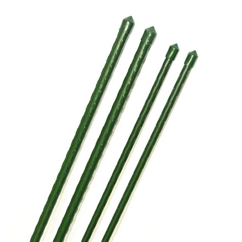 Schéma illustrant la structure d'un tuteur en plastique plein de 12 mm installé à côté d'une tige principale de plante