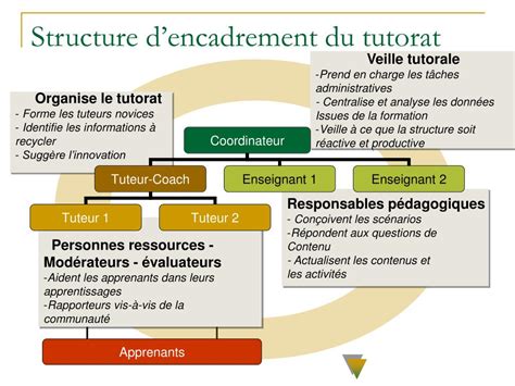 Processus de formation des tuteurs