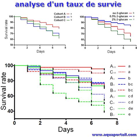 Infographie comparant les taux de survie des boutures selon le type de support utilisé