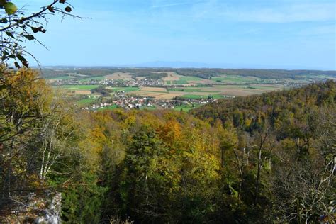paysage forestier typique du Sundgau en automne