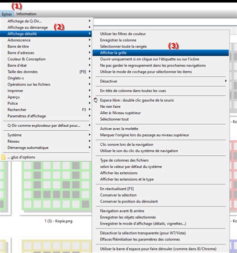 Schéma illustrant le menu de configuration de l'affichage du quadrillage