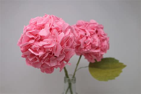 Étapes de création d'hortensias en papier