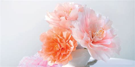 Variété de fleurs en papier de soie