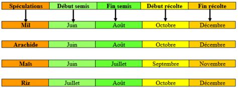 Schéma illustrant les périodes de semis idéales selon les saisons