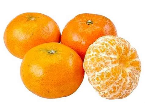 Schéma de maturation des variétés de mandarines