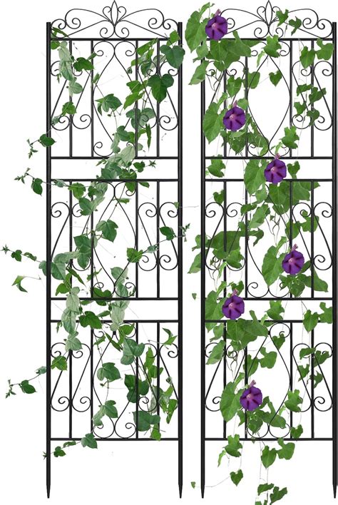 Treillis métallique décoratif pour plantes grimpantes