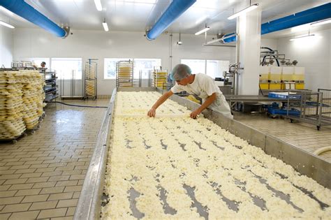 Intérieur de la boutique de la fruitière avec les meules de fromage en exposition