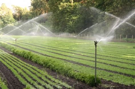 Serre avec système d'irrigation dans FS 15