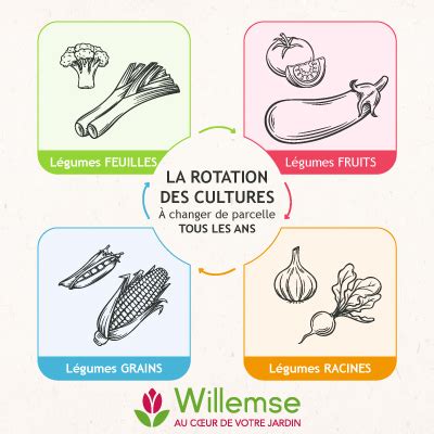 Infographie montrant la rotation des cultures sur 8 planches de culture