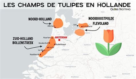 Carte illustrant les zones de culture de tulipes entre Leyde, Haarlem et le Flevoland