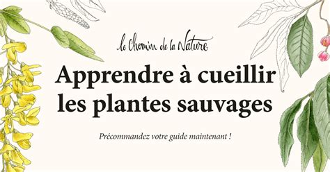 Panneau indiquant les plantes à cueillir dans un jardin