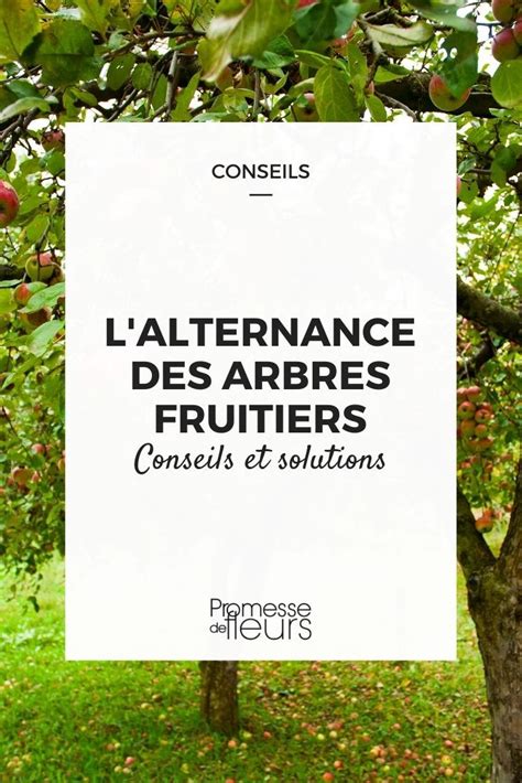 Diagramme illustrant l'alternance de production chez les arbres fruitiers