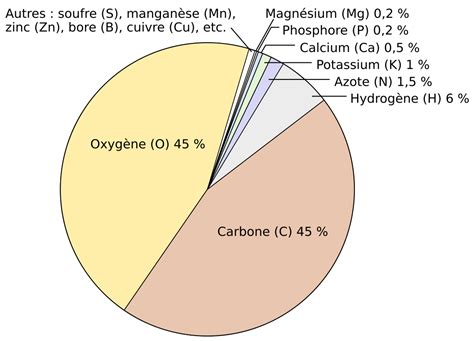 Composition chimique d'une plante type et répartition des nutriments principaux