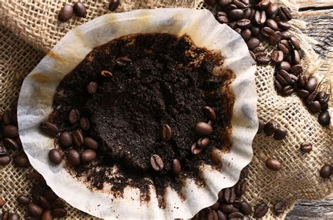Marc de café séchant sur un plateau