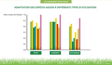 Infographie sur les différents mélanges de semences de gazon