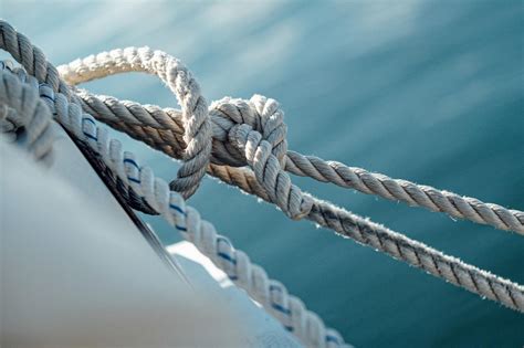 Schéma illustrant les techniques de cordage utilisées par les arboristes-élagueurs pour monter en toute sécurité dans un arbre
