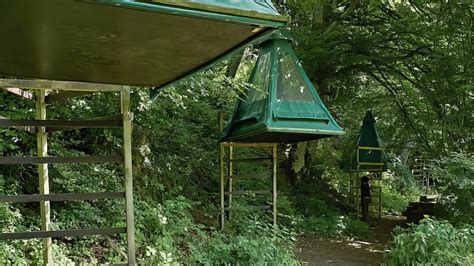 Photographie d'une plateforme de bivouac installée dans les arbres, illustrant les hébergements suspendus