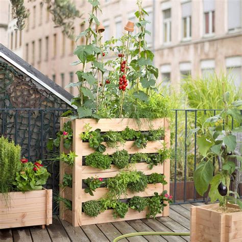 Potager sur balcon avec tomates et plantes aromatiques