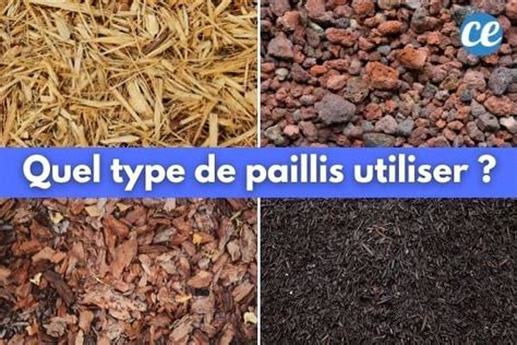 Comparaison entre différentes textures de paillis : paille, BRF et feuilles mortes