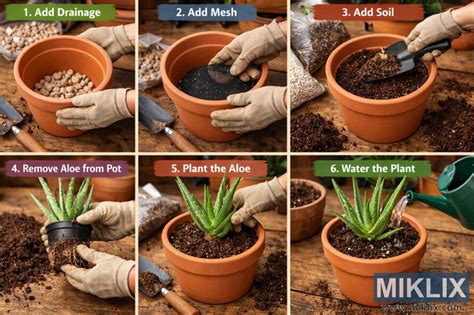 Schéma montrant le drainage adéquat dans un pot de succulente