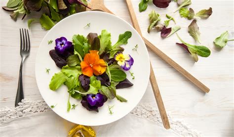 Photo d'une salade aux jeunes pousses d'orties et fleurs comestibles
