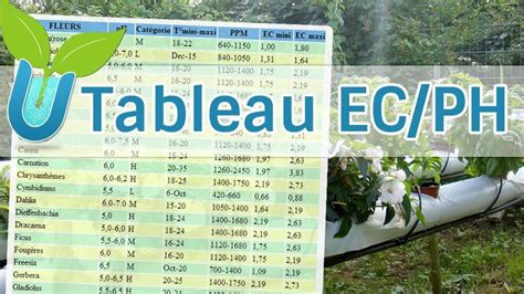Tableau comparatif des besoins en pH par type de culture et plantes calcifuges