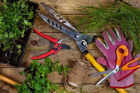 Nettoyage des outils de jardinage à l'automne