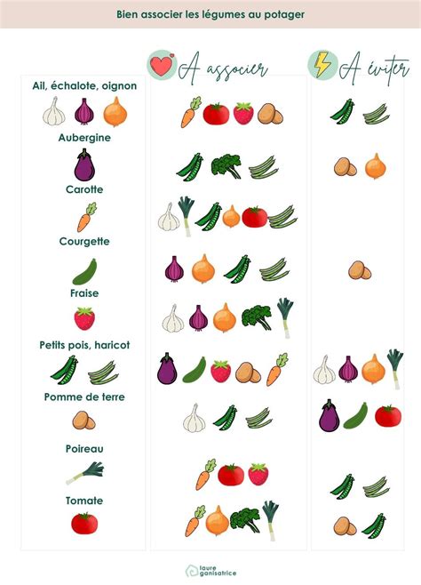 Infographie montrant les bonnes et mauvaises associations de légumes au potager