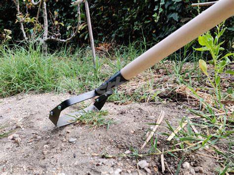 Photo montrant une sélection d'outils de jardinage manuels : binette, sarcloir, gouge