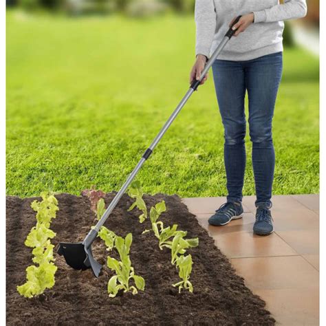Butteur rayonneur en action dans un potager