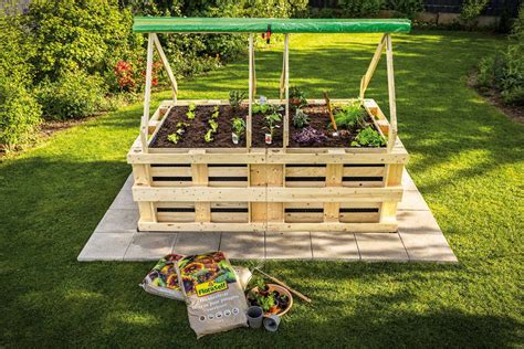 Plantes cultivées dans une jardinière surélevée
