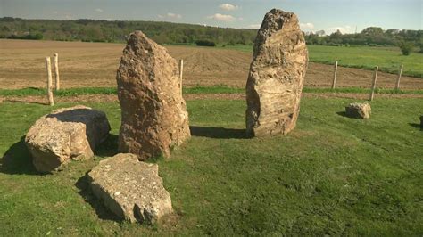 Menhirs d'ardoise et végétaux