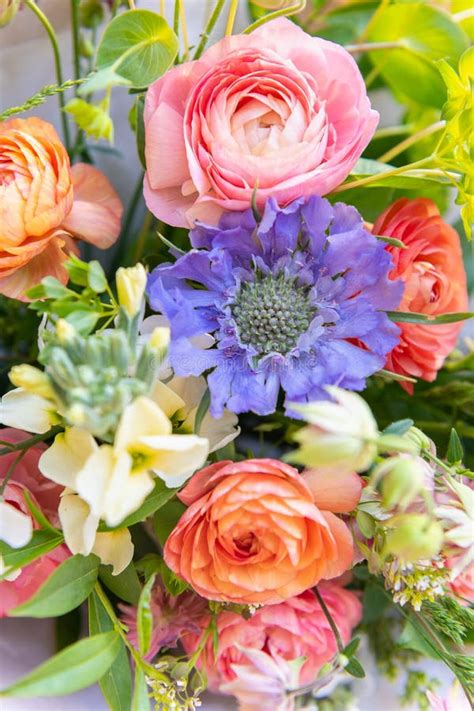 Photographie d'un bouquet d'hortensias aux couleurs variées