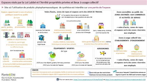 Schéma explicatif de la loi Labbé et de l'interdiction des pesticides chimiques sur les espaces publics et privés