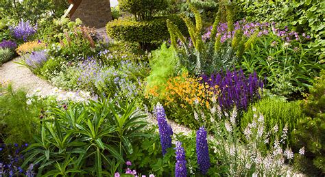 Une vue panoramique d'un jardin naturaliste avec des plantes vivaces et des herbes hautes