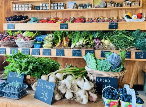 Étalage coloré de légumes frais dans un kiosque de ferme