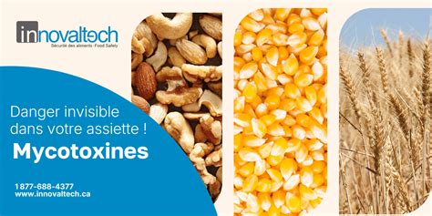 Infographie sur les différentes mycotoxines et leurs sources