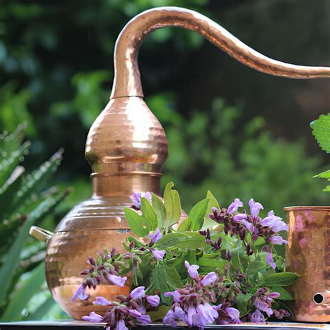 Distillation traditionnelle de plantes aromatiques pour l'obtention d'hydrolats