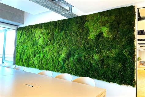 Mur végétal en mousse stabilisée