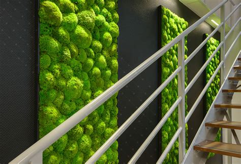 Mur végétal avec différentes textures de mousse stabilisée