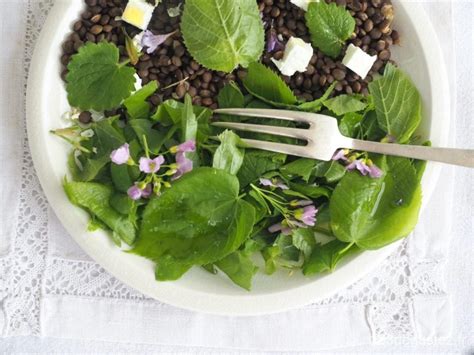 Plat de salade décoré de feuilles de lierre terrestre