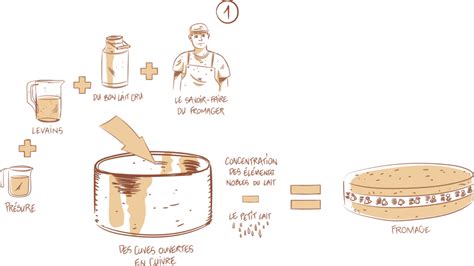 Processus de fabrication du Comté en fruitière