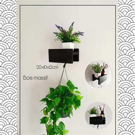 Porte-plante mural blanc avec plante retombante