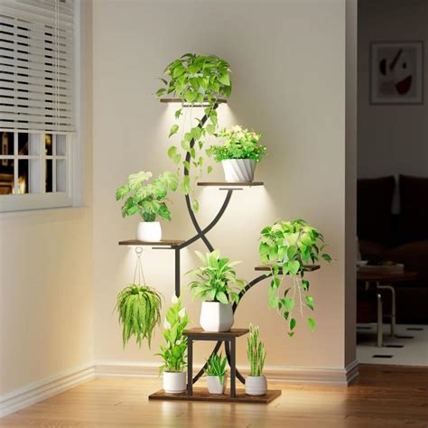Plantes variées sur un support blanc dans un intérieur lumineux