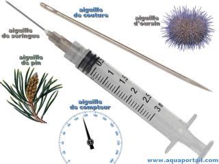 Schéma illustrant la technique d'arrosage et de brumisation des aiguilles du pin blanc