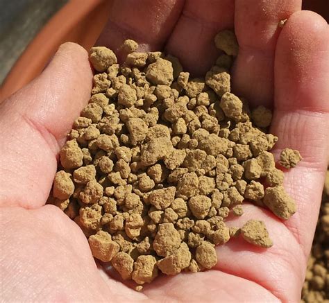 Gros plan sur un mélange de substrat Akadama et Kiryuzuna idéal pour les pins